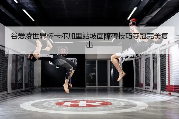 gu-ai-ling-shi-jie-bei-ka-er-jia-li-zhan-po-mian-zhang-ai-ji-qiao-duo-guan-wan-mei-fu-chu-2-291.jpg